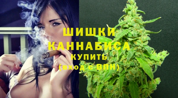 дживик Арсеньев