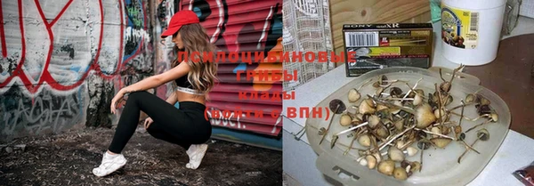 spice Армянск