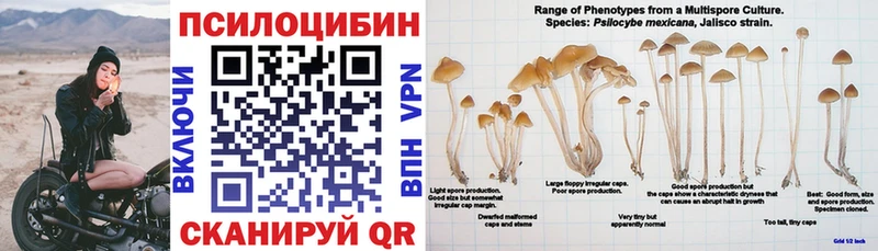 Псилоцибиновые грибы мухоморы  Лахденпохья 